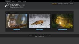 Podgląd strony internetowej fotografa