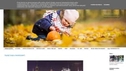 Preview of the photographer's website