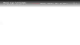 Preview of the photographer's website