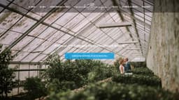 Preview of the photographer's website