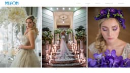 Preview of the photographer's website