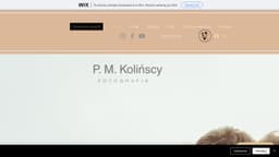 Preview of the photographer's website