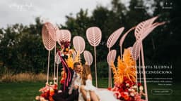 Preview of the photographer's website