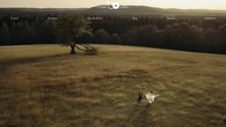 Preview of the photographer's website