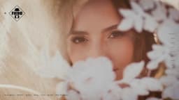 Preview of the photographer's website