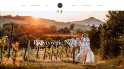Preview of the photographer's website