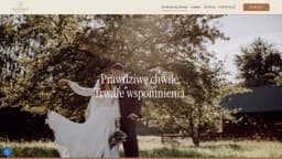 Preview of the photographer's website