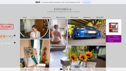Preview of the photographer's website
