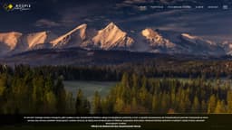 Preview of the photographer's website