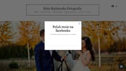 Preview of the photographer's website