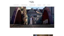 Preview of the photographer's website