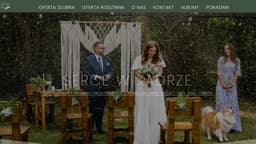 Preview of the photographer's website