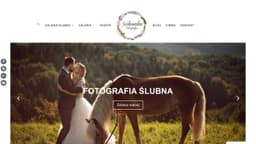 Preview of the photographer's website