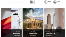 Preview of the photographer's website