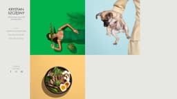 Preview of the photographer's website