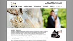 Preview of the photographer's website
