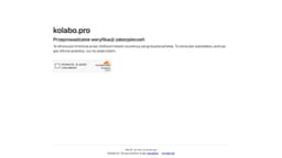 Preview of the photographer's website