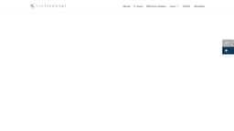 Preview of the photographer's website