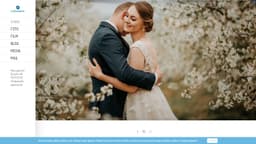 Preview of the photographer's website