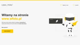 Preview of the photographer's website