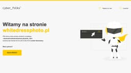 Preview of the photographer's website