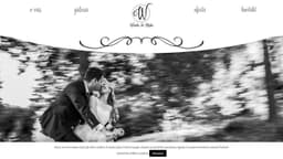 Preview of the photographer's website
