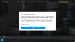 Preview of the photographer's website