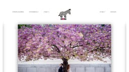 Preview of the photographer's website