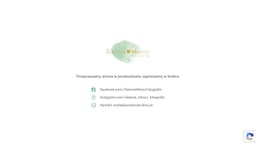 Preview of the photographer's website