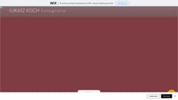 Preview of the photographer's website