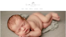 Preview of the photographer's website