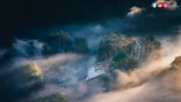 Preview of the photographer's website