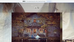 Preview of the photographer's website