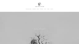 Preview of the photographer's website