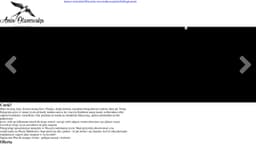 Preview of the photographer's website