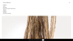 Preview of the photographer's website