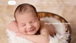 Preview of the photographer's website