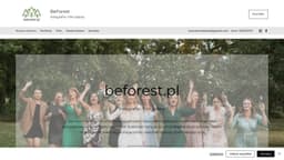 Preview of the photographer's website