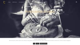 Preview of the photographer's website