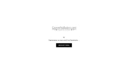 Preview of the photographer's website