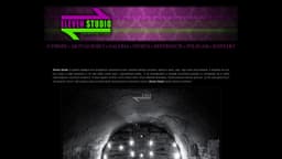 Preview of the photographer's website