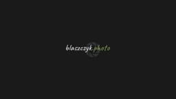 Preview of the photographer's website