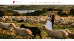 Preview of the photographer's website