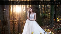 Preview of the photographer's website