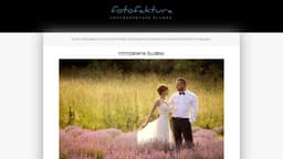 Preview of the photographer's website
