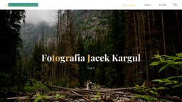 Preview of the photographer's website
