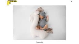Preview of the photographer's website