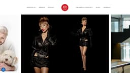 Preview of the photographer's website