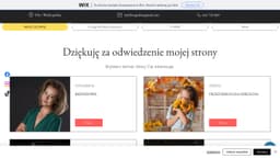 Preview of the photographer's website