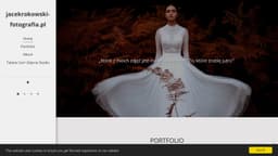 Preview of the photographer's website